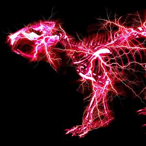 六十路熟女田舍交尾
